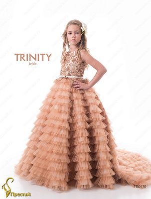 TG0170_32 Вечернее платье для девочки